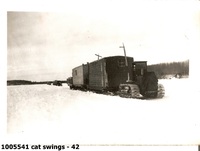  cat swings - 42