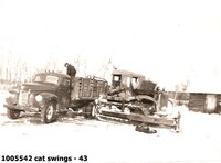  cat swings - 43