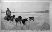  Dog Team on Schist Lake