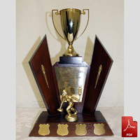 Willow Park CC trophies, set 3