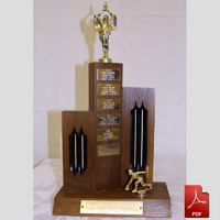 Willow Park CC trophies, set 1