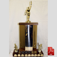 Willow Park CC trophies, set 4
