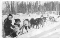 RCMP Dog Team - 1930's