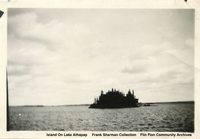 Island On Lake Athapap