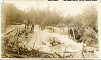  Pineroot River Rapids