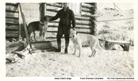 Sealy Clark's Dogs