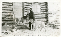 Sealy Clark's Dogs 
