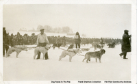 The Pas Dog Races