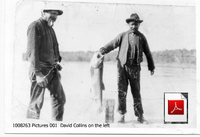 Documents Related to David Collins