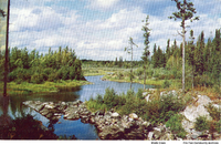 (Postcard) 
