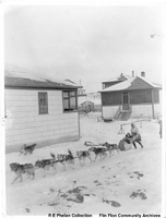 Dog team near "Company Cottages"