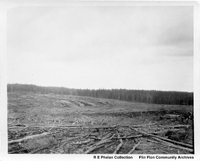 logging scene