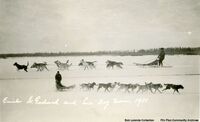  Dog Race (Postcard)
