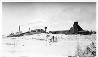 The plant from the West