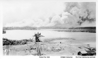  Forest Fire 1929 