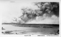  Forest Fire 1929