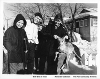  Wolf Shot In Town