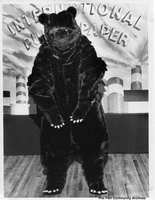 Bear Costume no information 