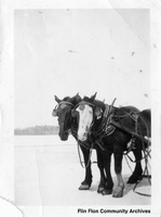 Harnessed Horses on the Ice