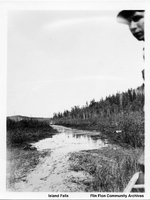 Island Falls 