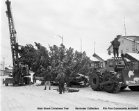 Main Street Christmas Tree