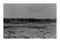 Lake Bottom Golf Course Green