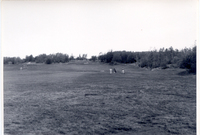 Number One Fairway