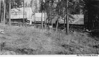 Bush camp