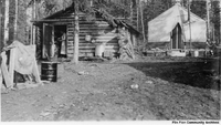 Bush camp