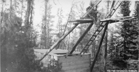 Bush camp