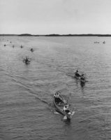 Trout Festival canoe race in progress. 1964
