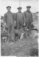 working men and dogs