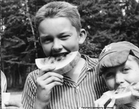 Watermelon Treat