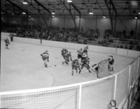 1966