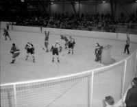 1966