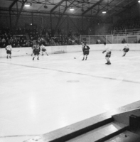 1968