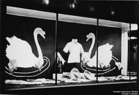 Window Displays - F. A. Schieder's Mens Wear by Clara Schieder