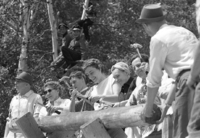 1960