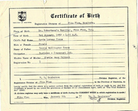 Birth Certificate from the Robertson Hospital 