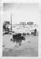 Dog Team and Toboggan on First Ave. C 1932