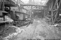 Zinc Plant Outside