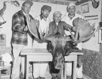 Four Hunters With Moose Trophy