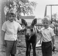 Children with moose calf