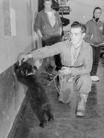 Man with bear cub on Main Street no date