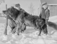 Hunter with Dead Wolf