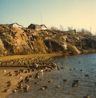 Hapnot Lake