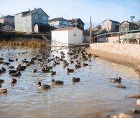 Hapnot Lake