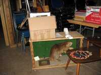 GP Hut