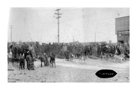 Dog Race Start in front of Ostry's Store C 1931 Fliin flon 