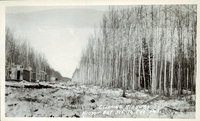 Post Card "Clearing the Highway Hudson Bay Junction to Flin Flon "